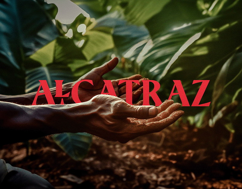 Продажи Лабубу стали резко падать